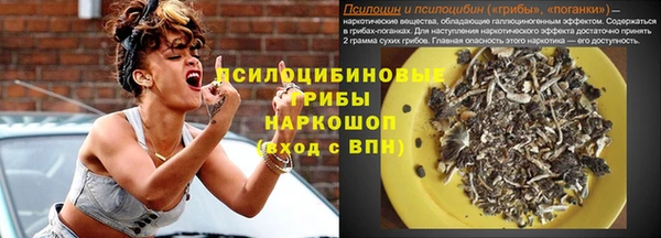 молекула духа Армянск
