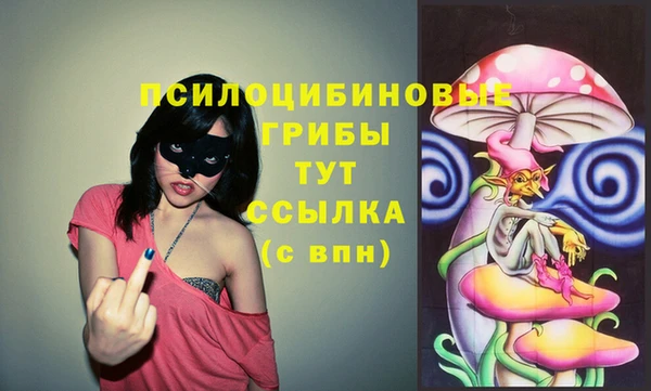 молекула духа Армянск